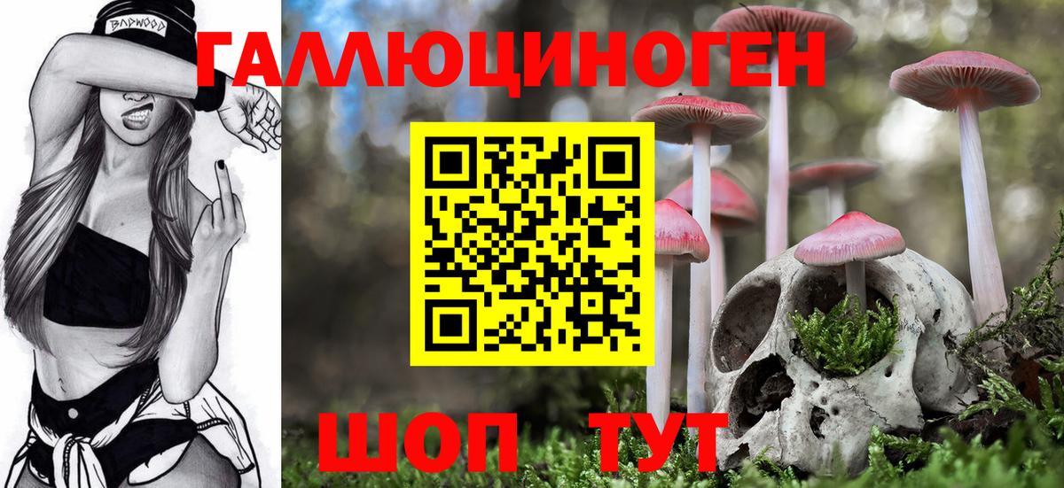 Минеральные Воды  Псилоцибиновые грибы прущие грибы  Вход с VPN  Галлюциногенные грибы мицелий 