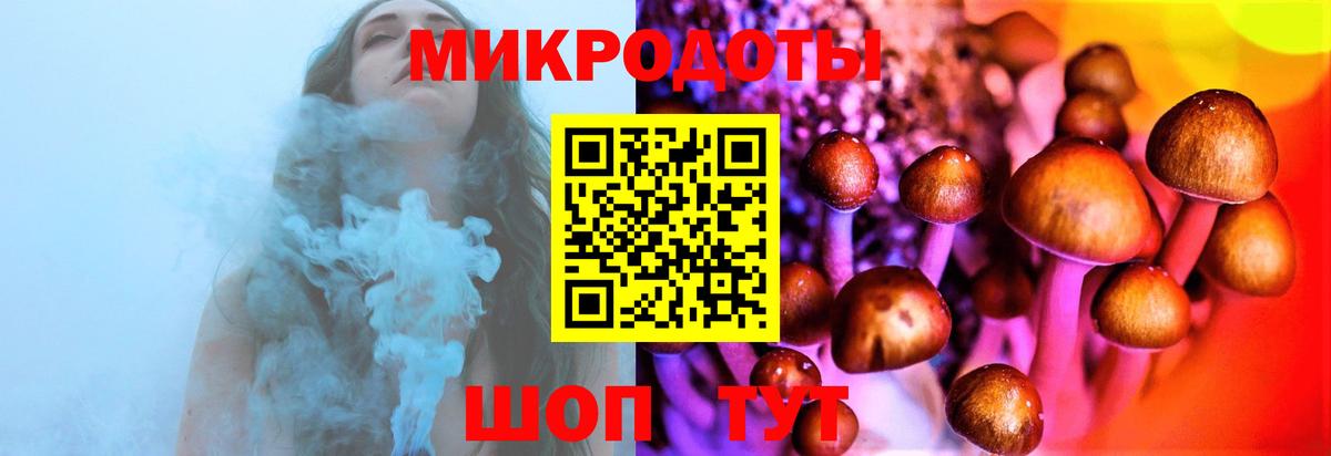 Псилоцибиновые грибы Psilocybine cubensis Минеральные Воды